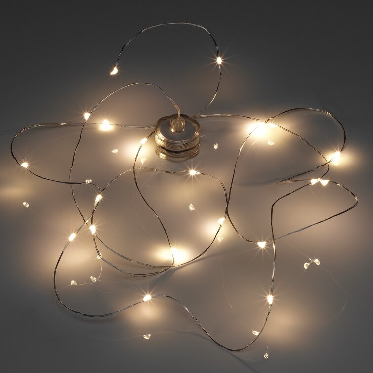 Wayfair festoon store lights